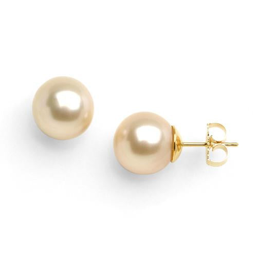 South Sea Golden Pearl Earrings in 14K Yellow Gold (10-11mm)