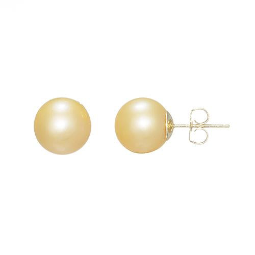 South Sea Golden Pearl Earrings in 14K Yellow Gold