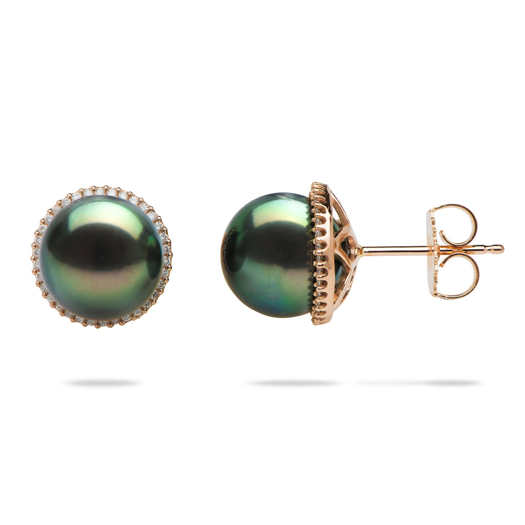 Tahitian black pearl earrings