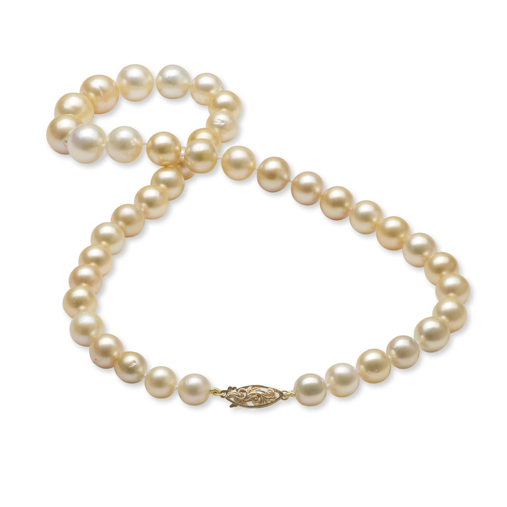 Living Heirloom South Sea Pearl Strand in 14K Yellow Gold